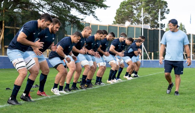 Pumas