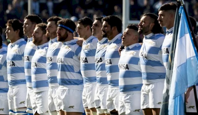 pumas