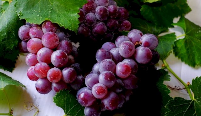 Uvas: ¿Cómo elegir las mejores?